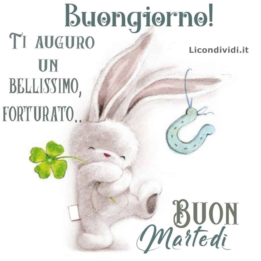 Immagini Buon Martedì. Buongiorno! TI AUGURO UN BELLISSIMO, FORTURATO..BUON Martedi