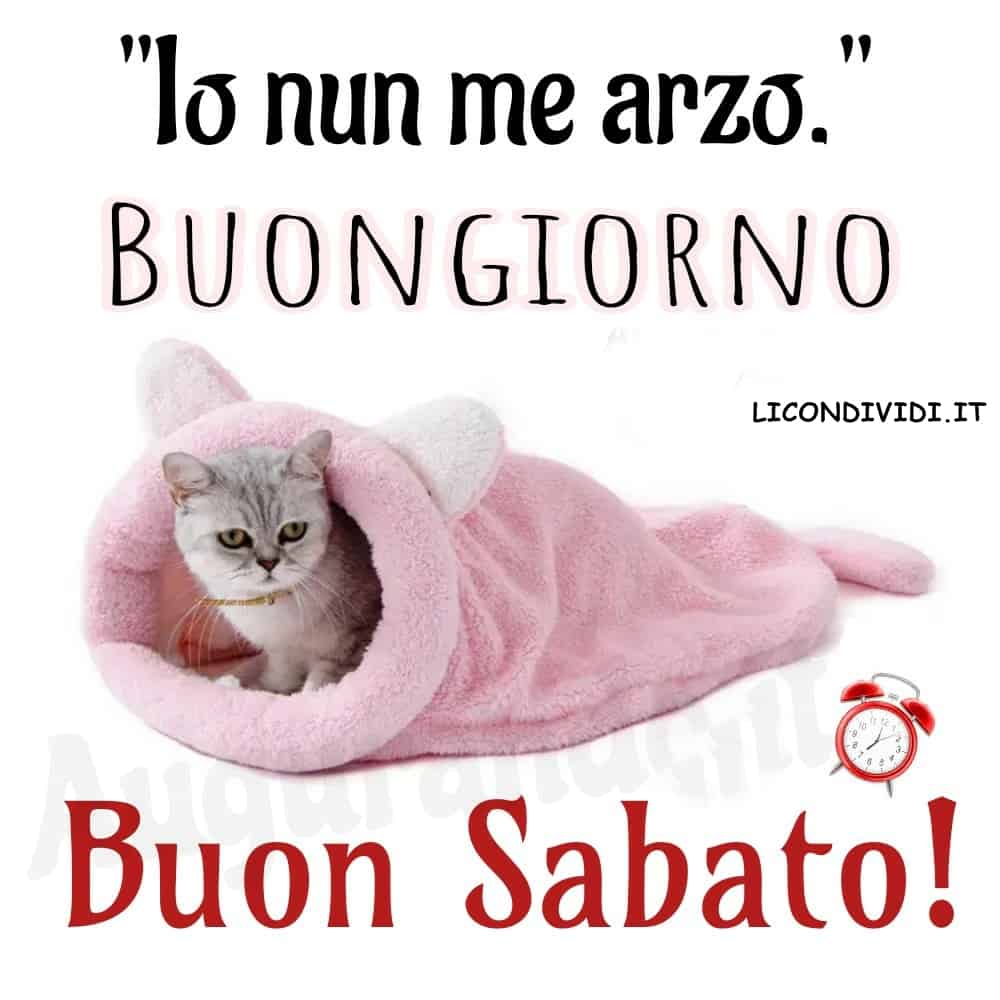 Immagini Buon Sabato