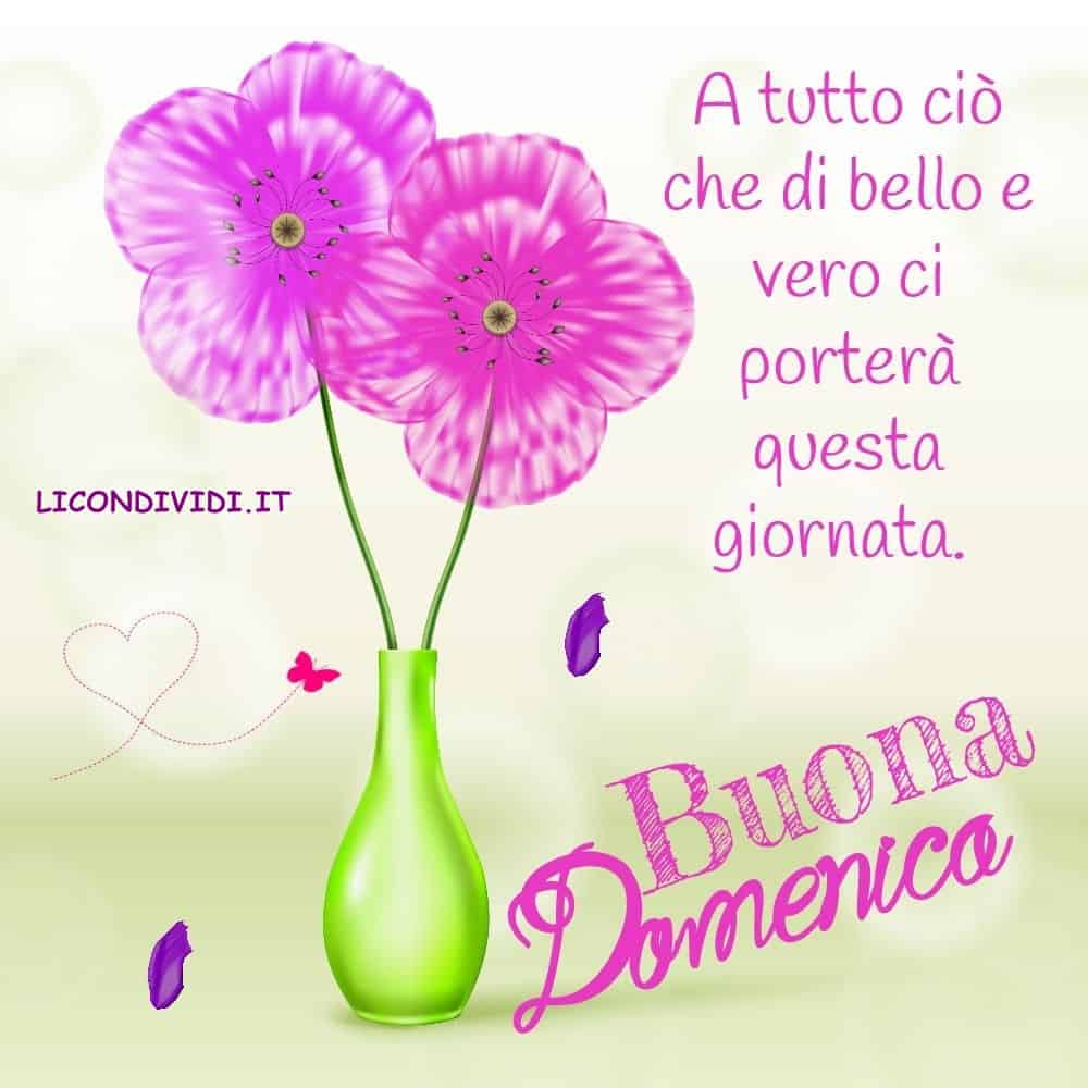 Immagini Buon Domenica