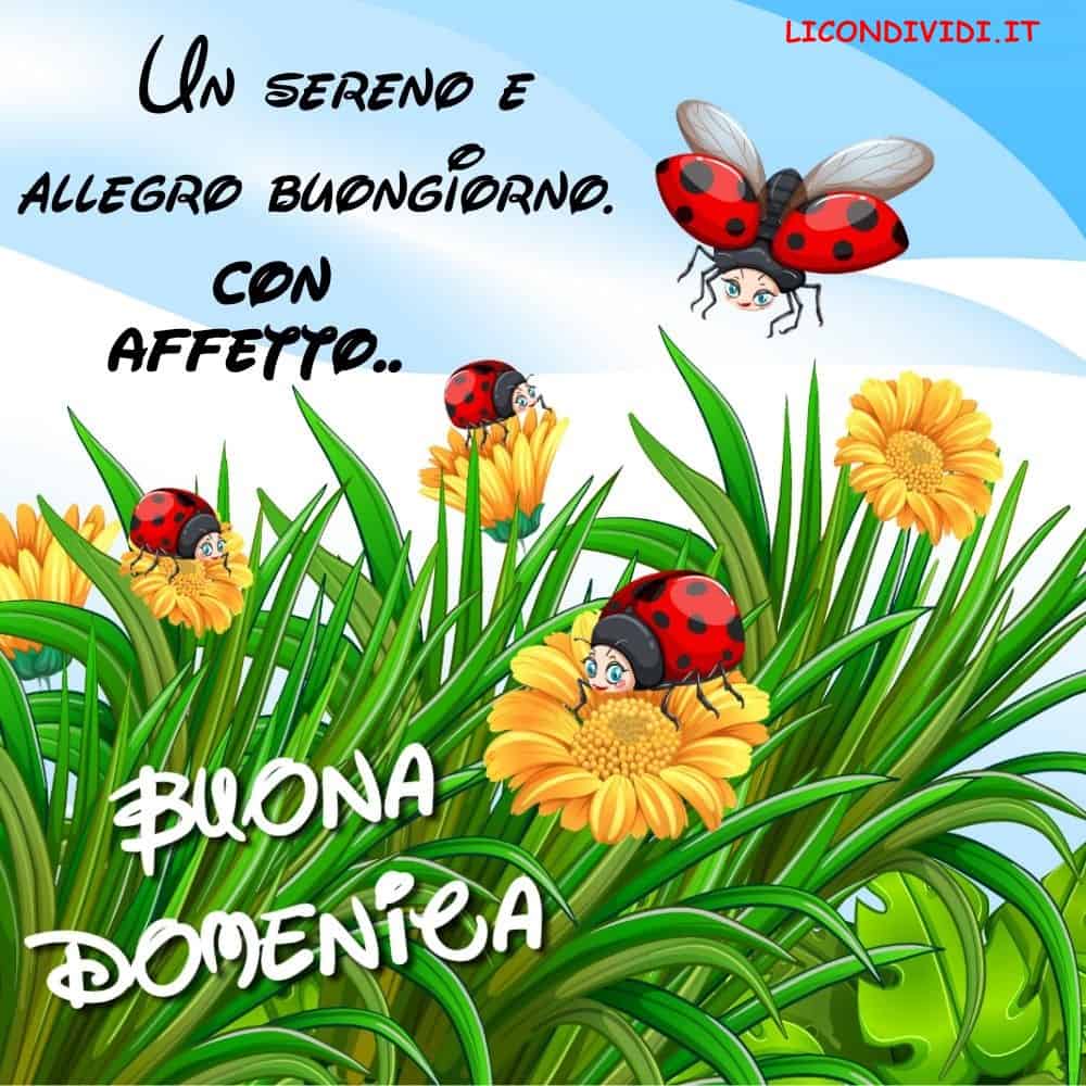 Immagini Buon Domenica