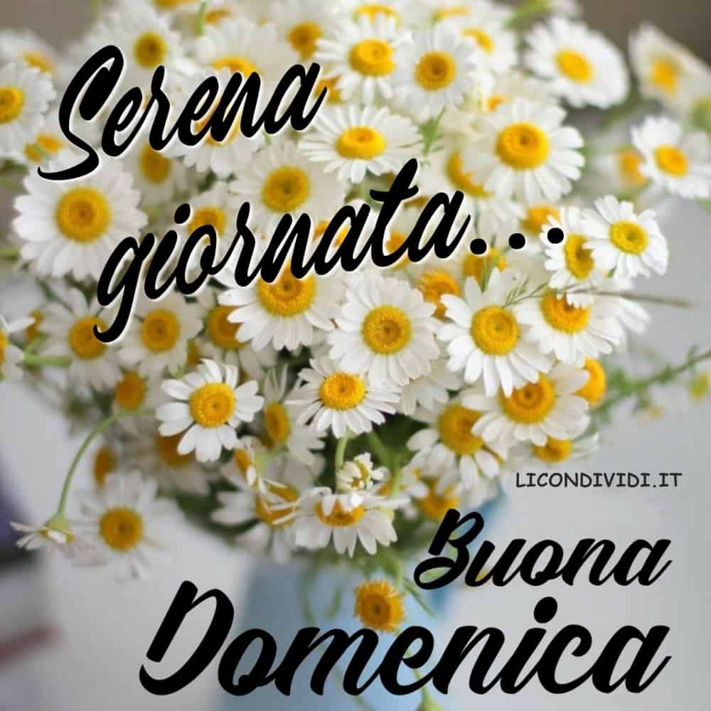 Immagini Buon Domenica