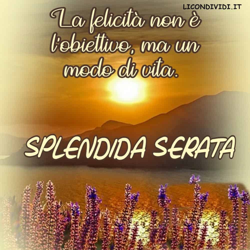 immagini buona serata 