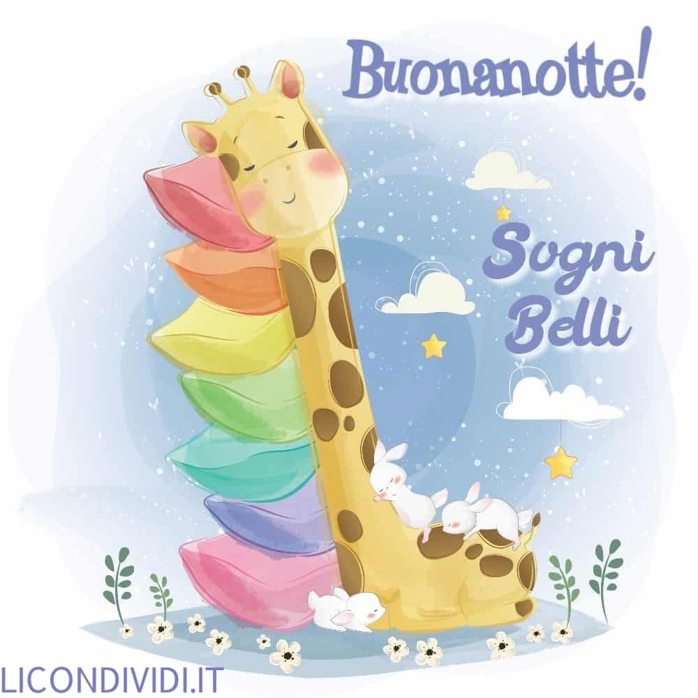 buonanotte immagini