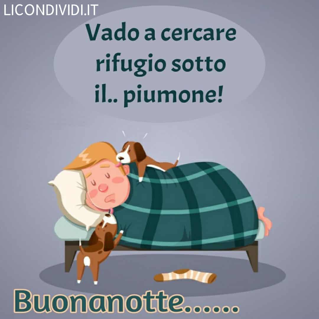 buonanotte immagini