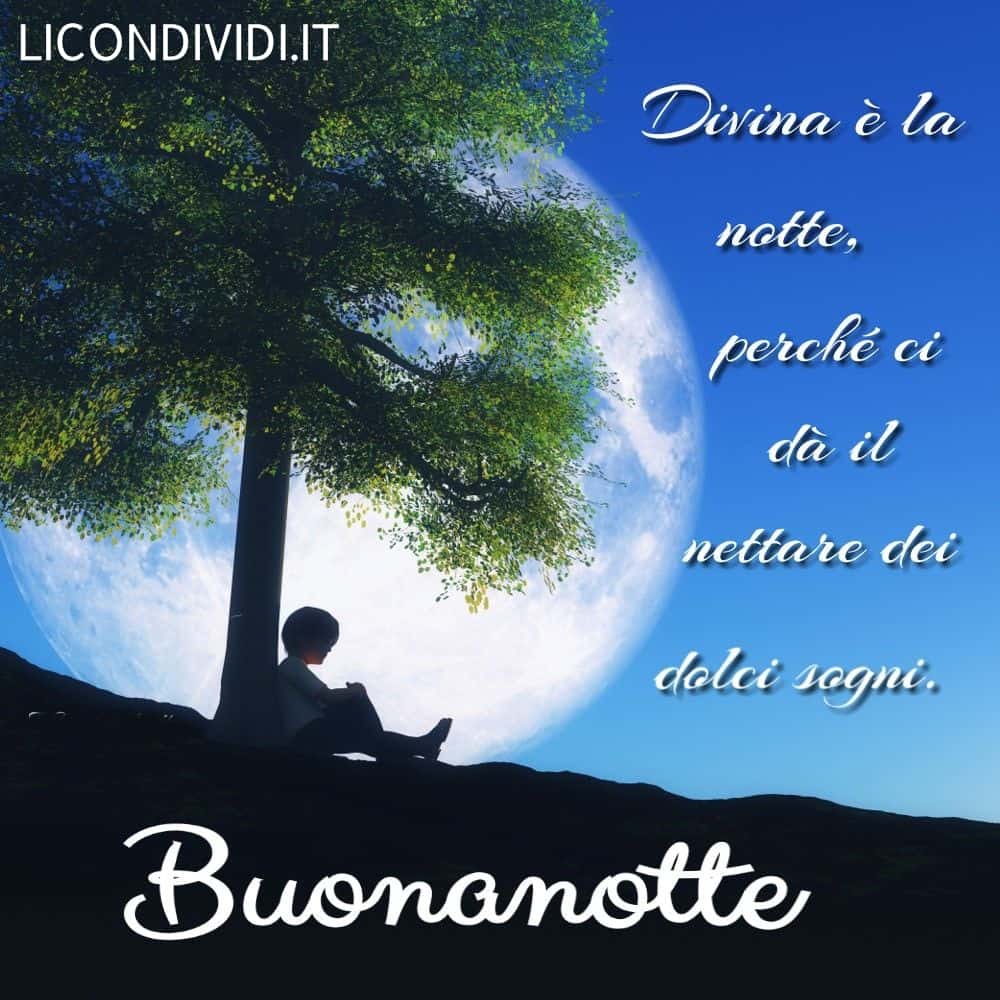 immagini buonanotte