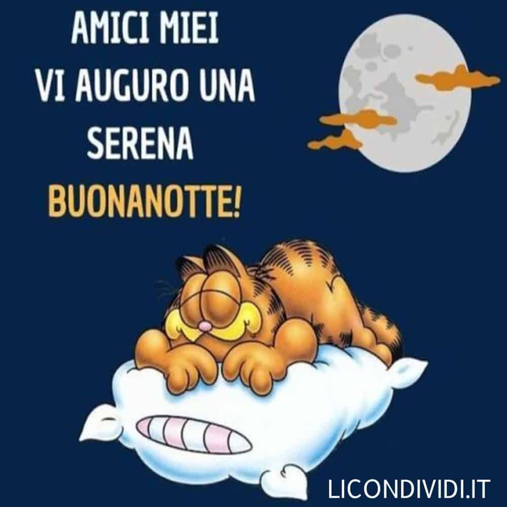 Immagini di Buonanotte