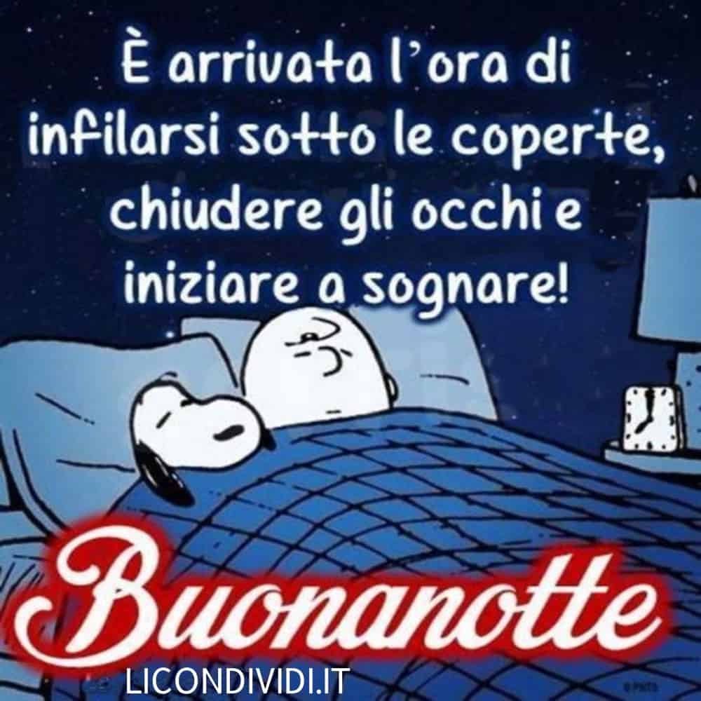 immagini buonanotte