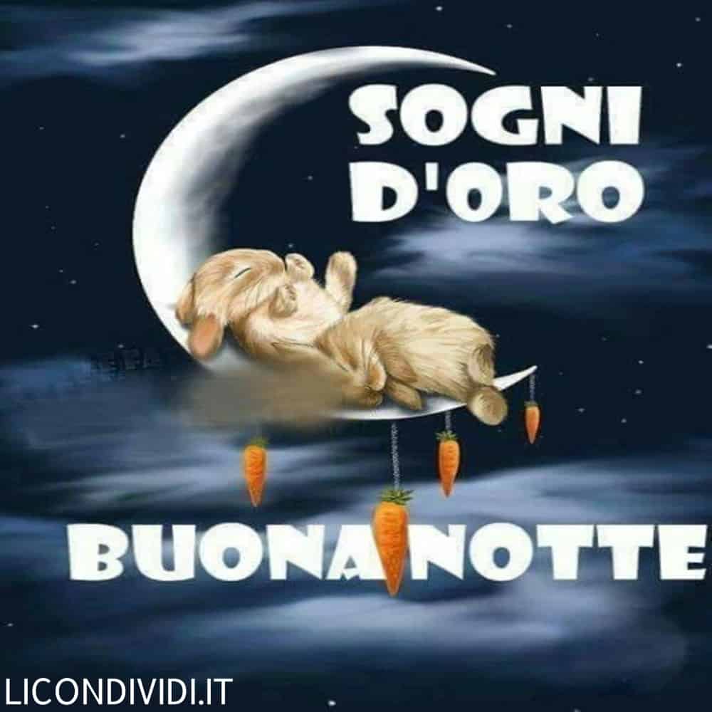 immagini buonanotte