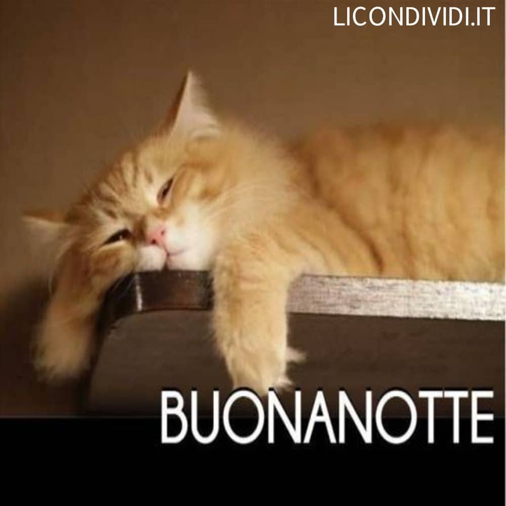 immagini buonanotte