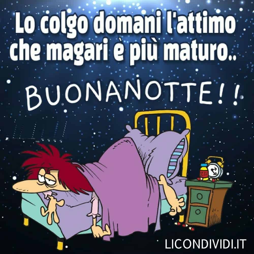 immagini buonanotte