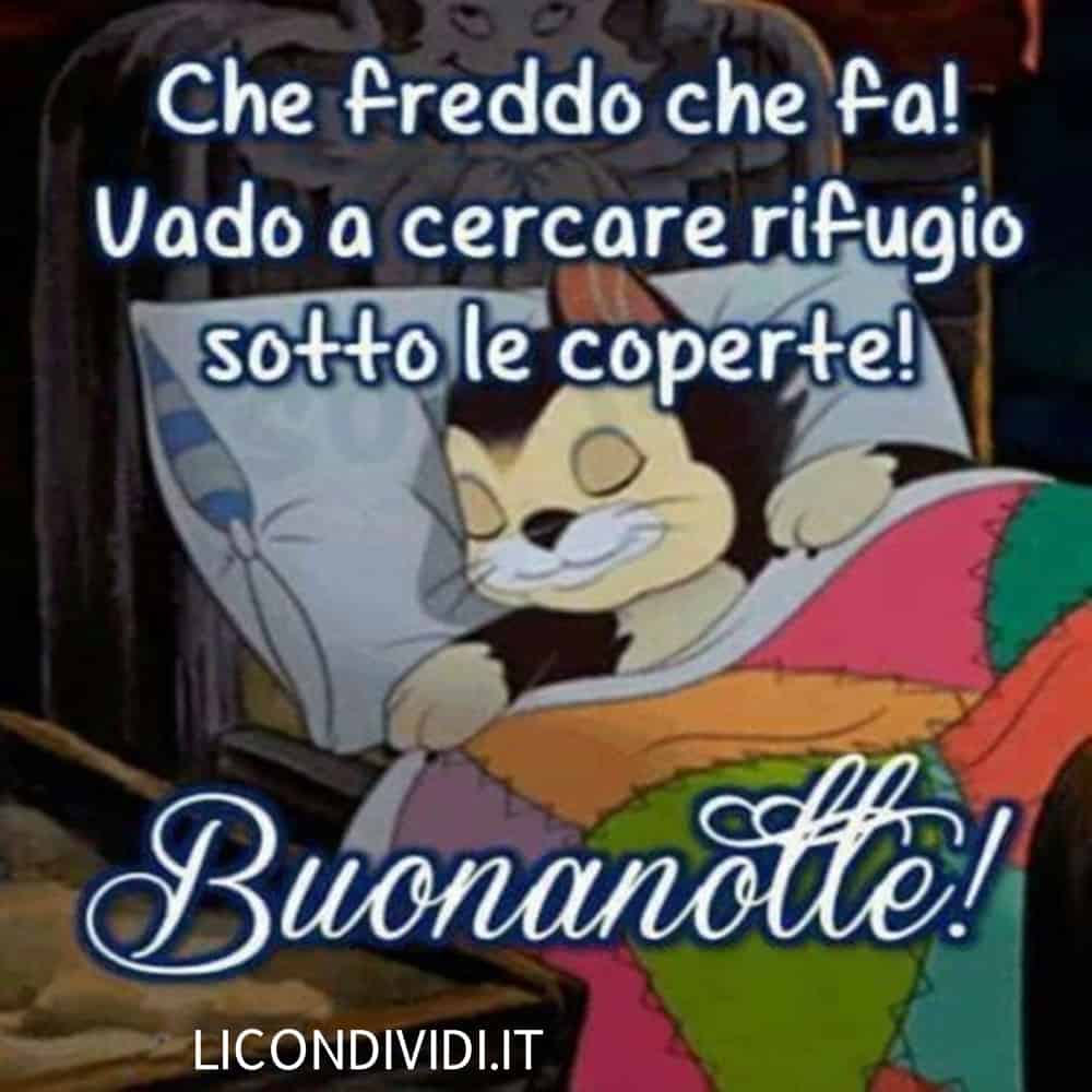 immagini buonanotte