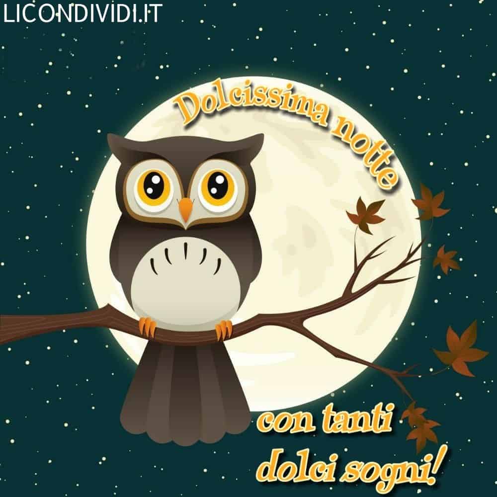 buonanotte immagini