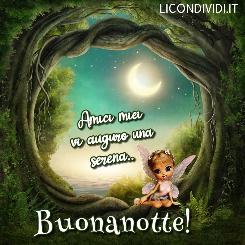 buonanotte immagini