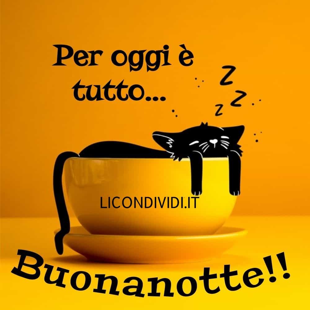 buonanotte immagini