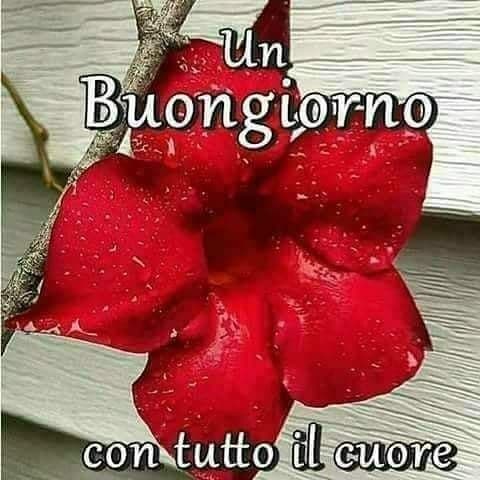 Buongiorno con il cuore