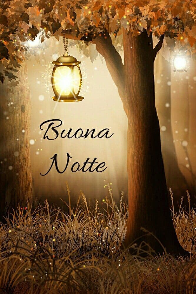 Immagini della Buonanotte