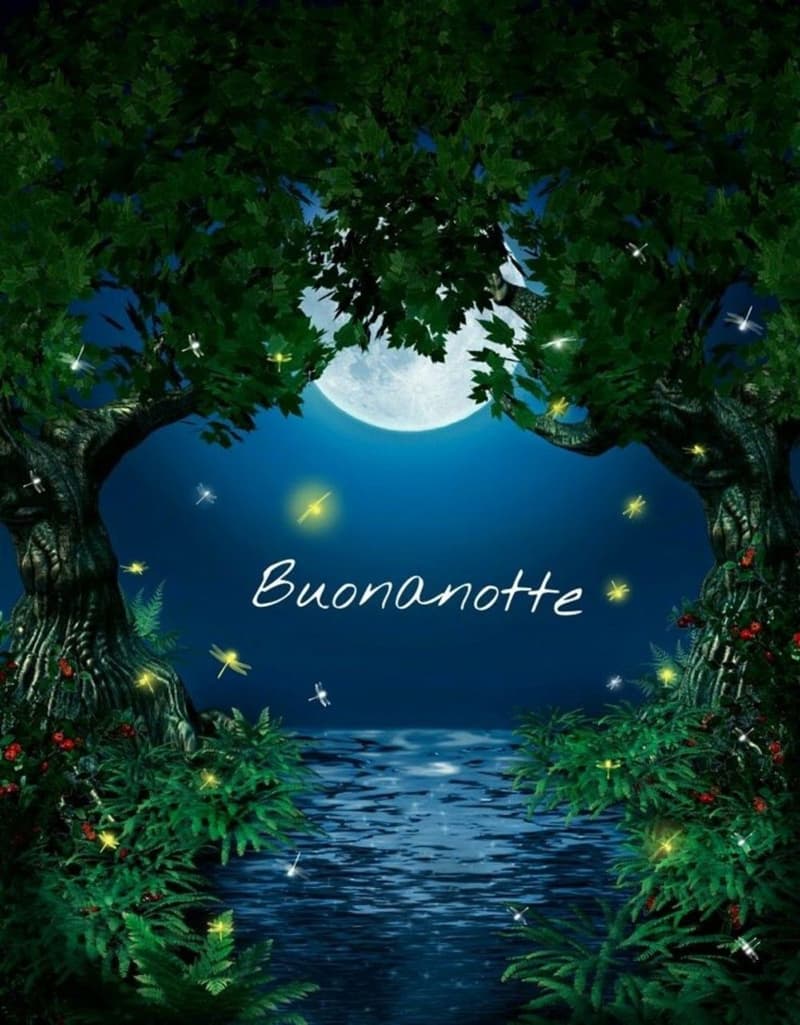 Immagini della Buonanotte