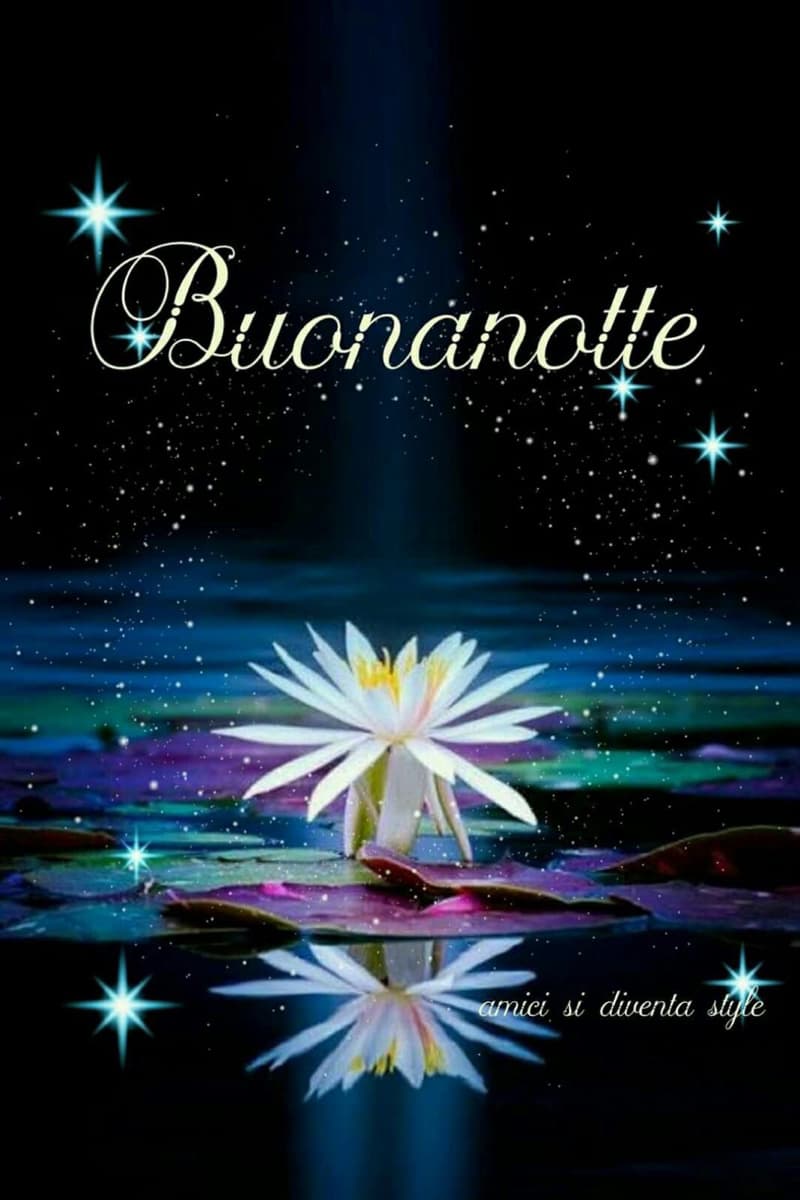 immagini buonanotte per whatsapp