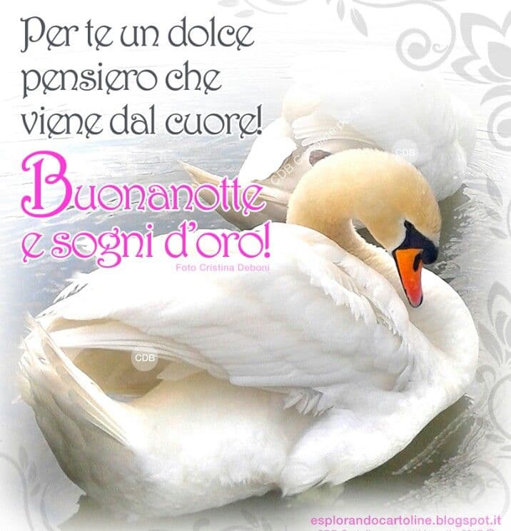 immagini buonanotte per whatsapp