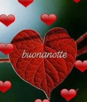 buonanotte immagini nuove divertenti