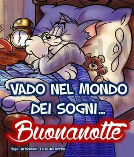 immagini buonanotte belle