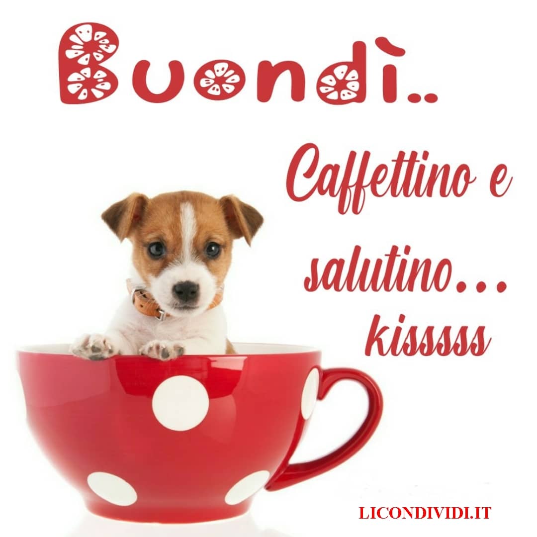 immagini buongiorno con cani