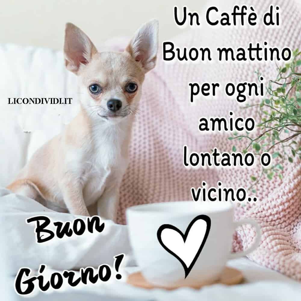 immagini buongiorno con cani