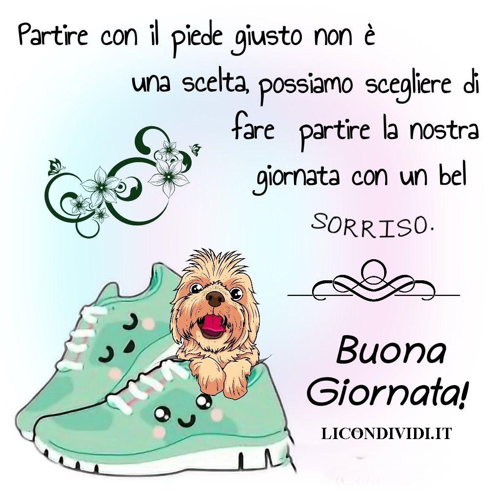 immagini buongiorno con cani