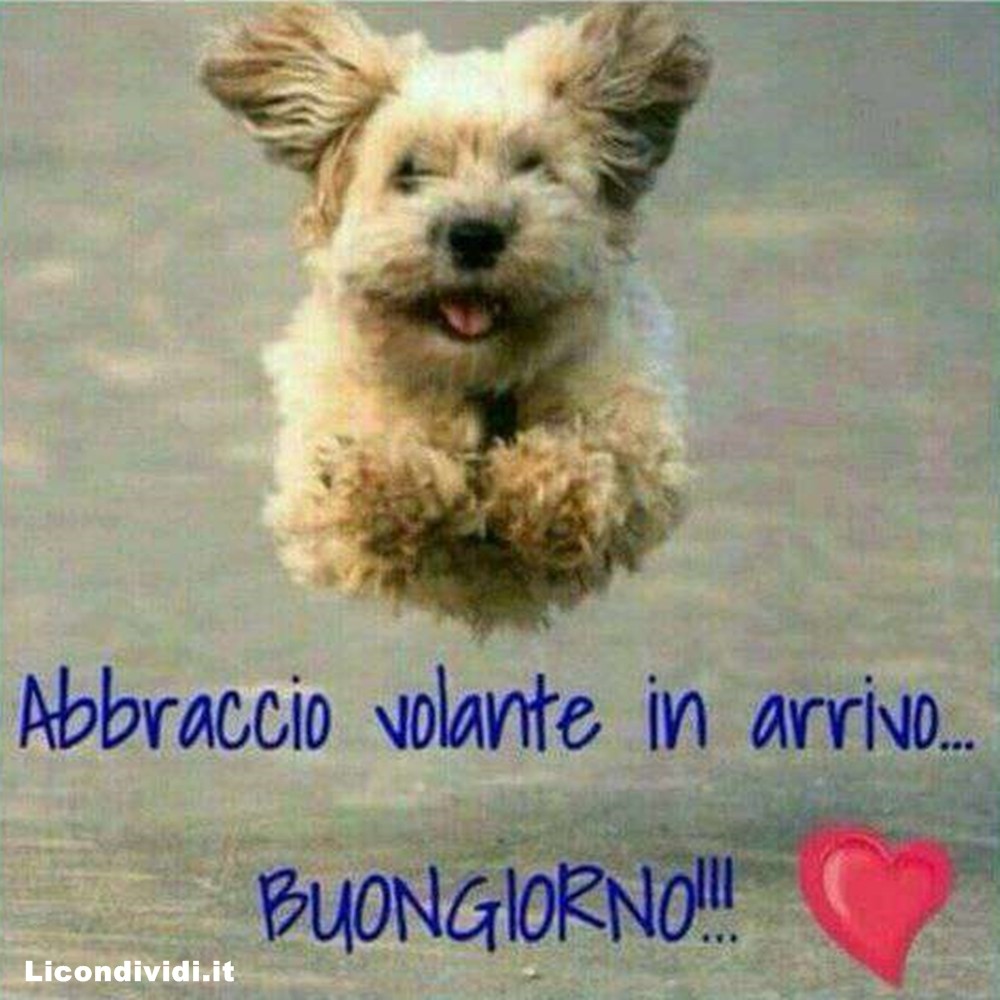 immagini buongiorno con cani