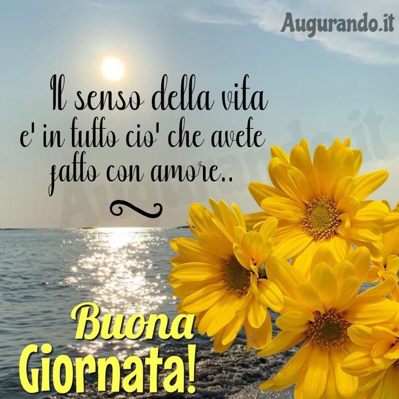 immagini buongiorno con fiori