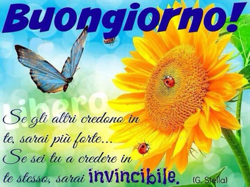 immagini buongiorno con fiori