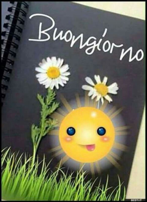 immagini buongiorno con fiori