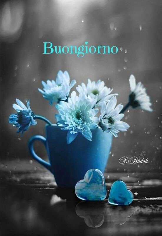 immagini buongiorno con fiori