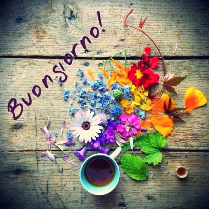 immagini buongiorno con fiori