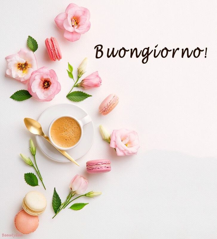 immagini buongiorno con fiori