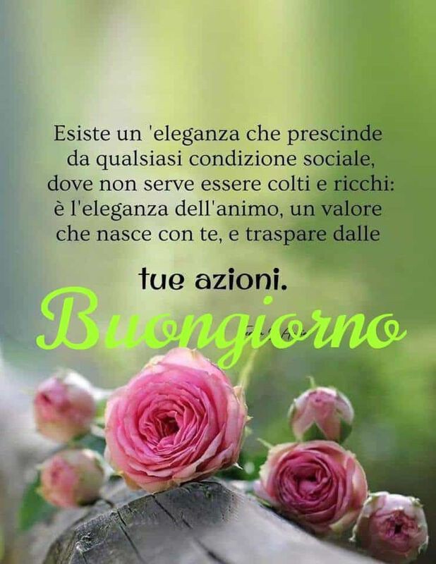 immagini buongiorno con fiori