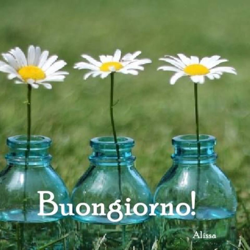 immagini buongiorno con fiori