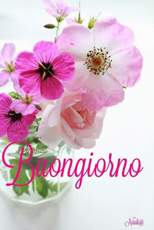 immagini buongiorno con fiori