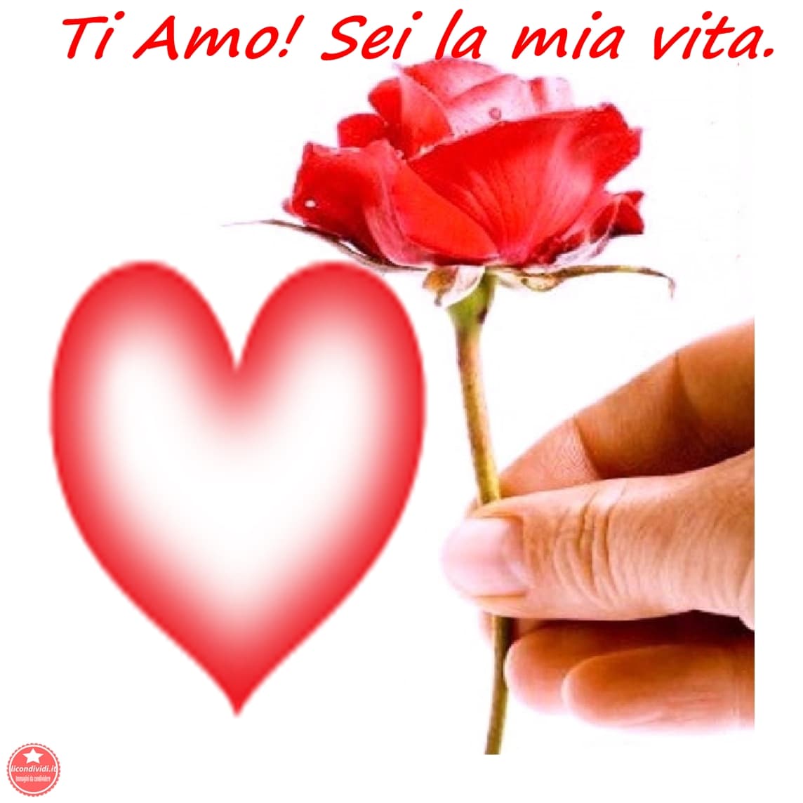 Immagini ti amo