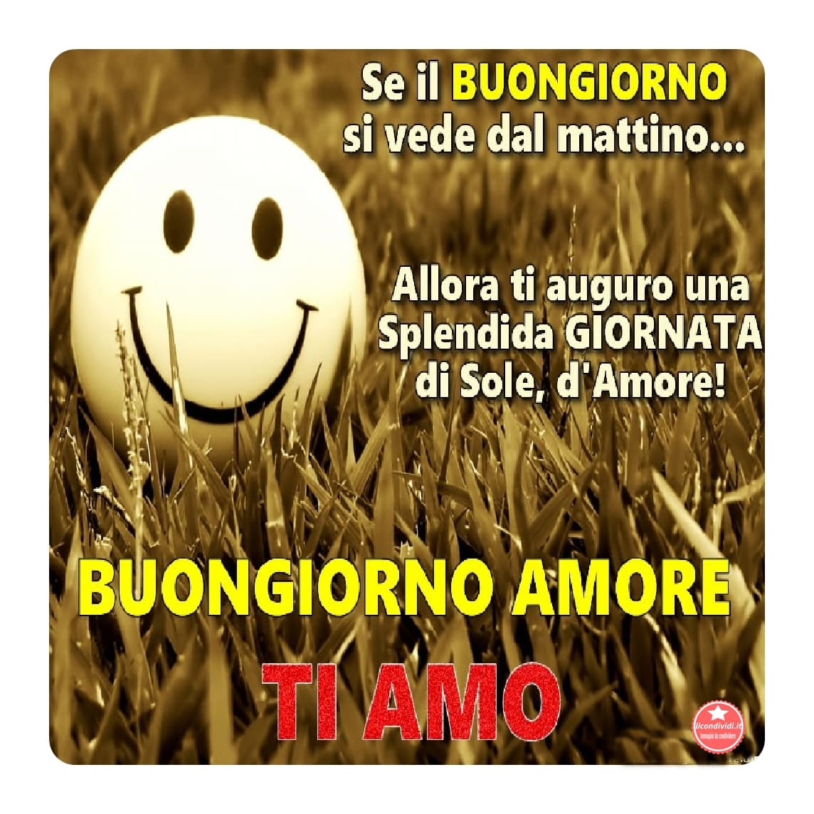 Immagini ti amo