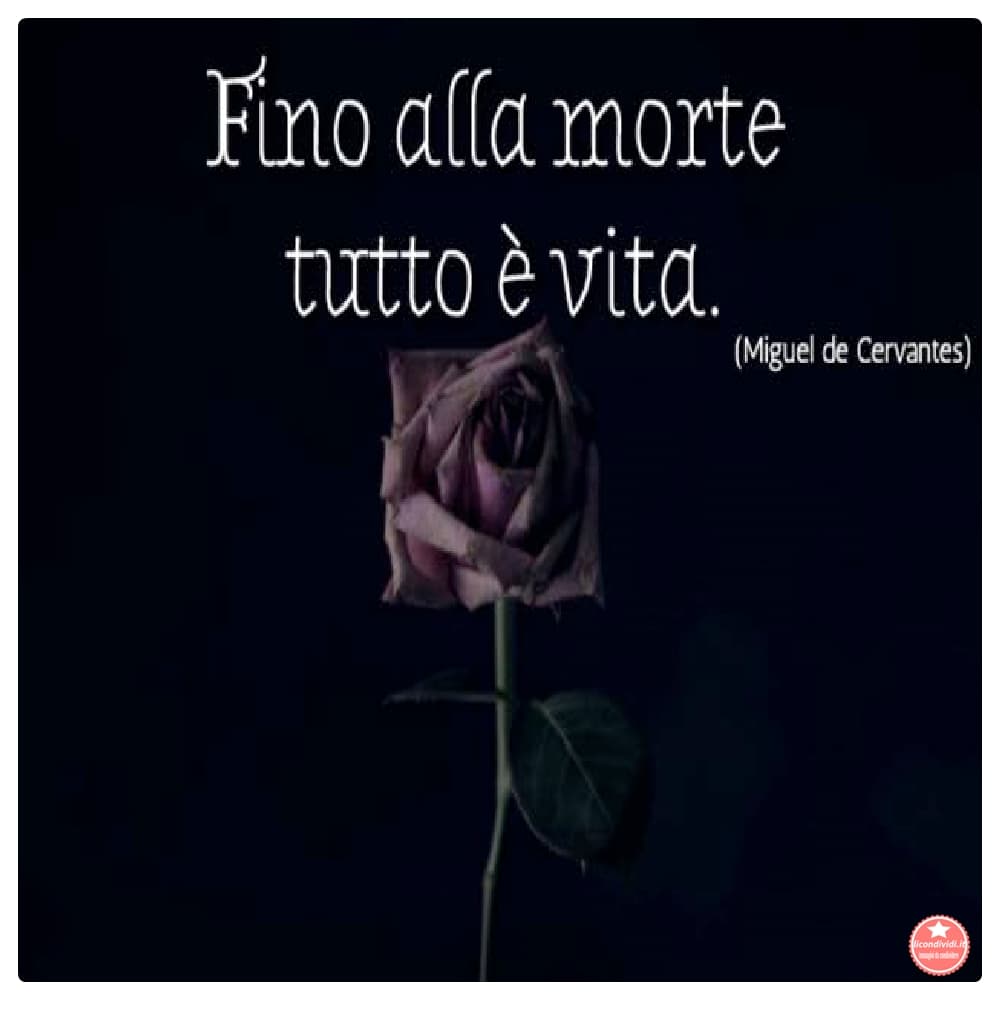 Immagini sulla vita