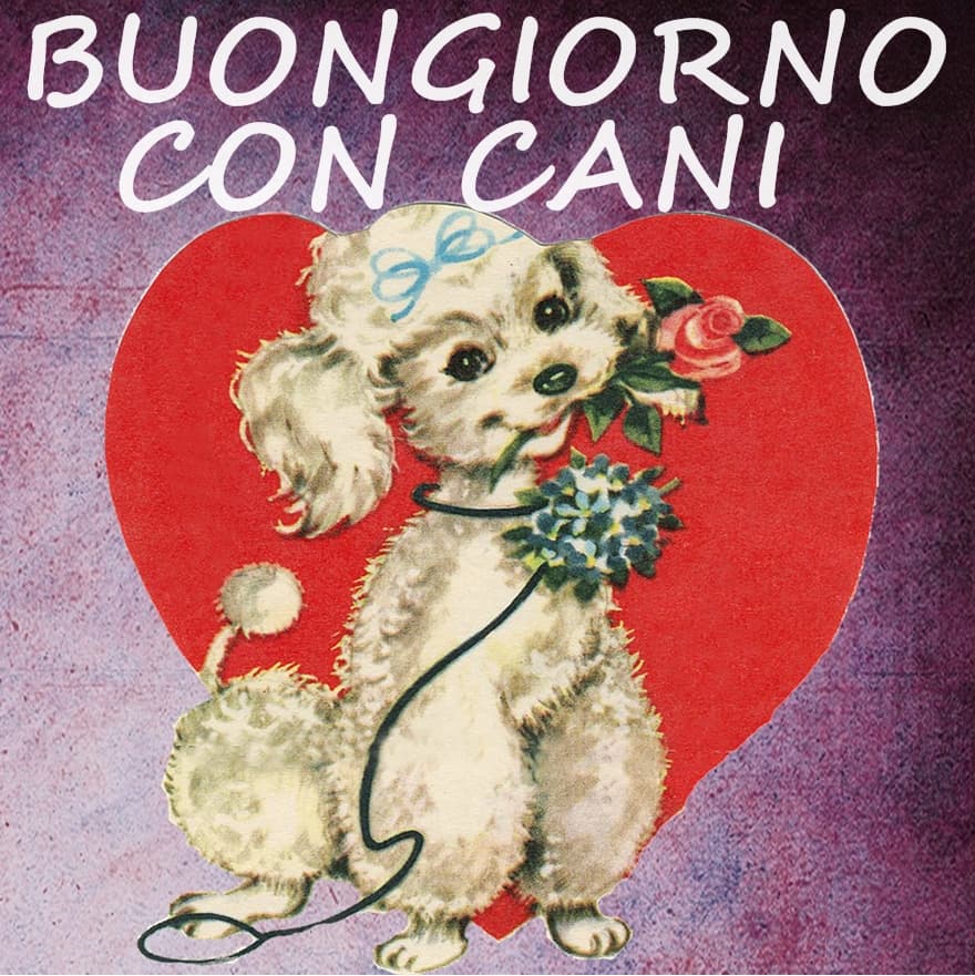 buongiorno con cani