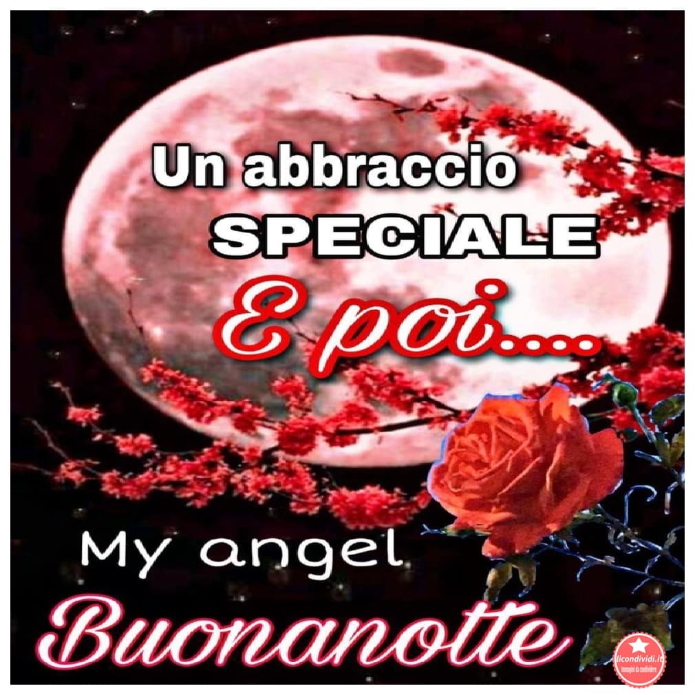 Buonanotte amici