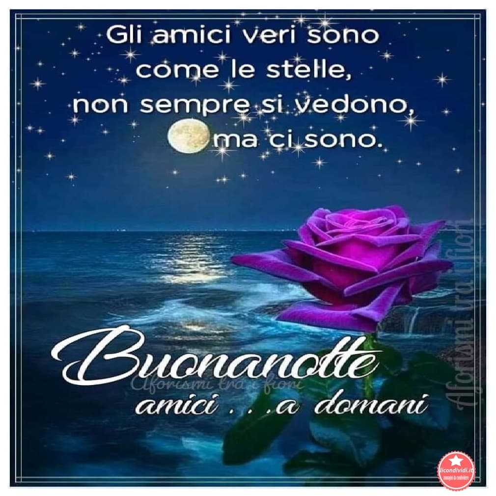 Buonanotte amici