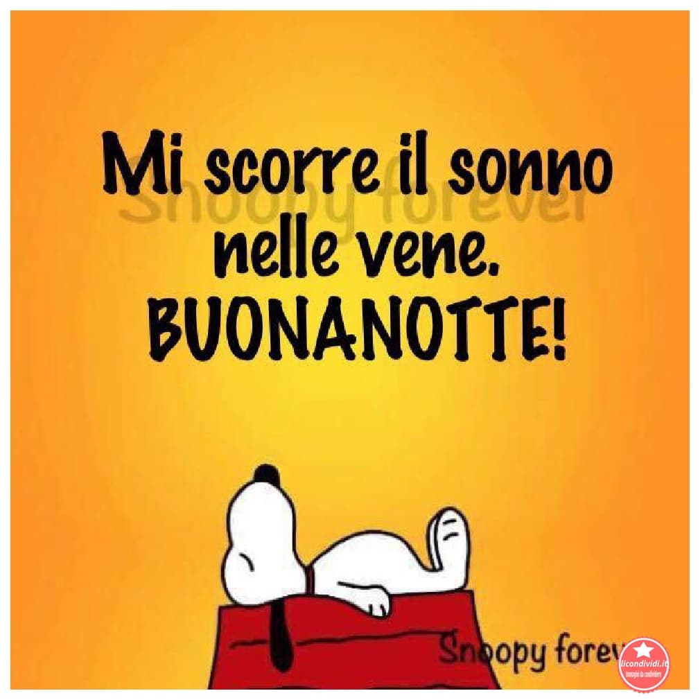 Buonanotte amici