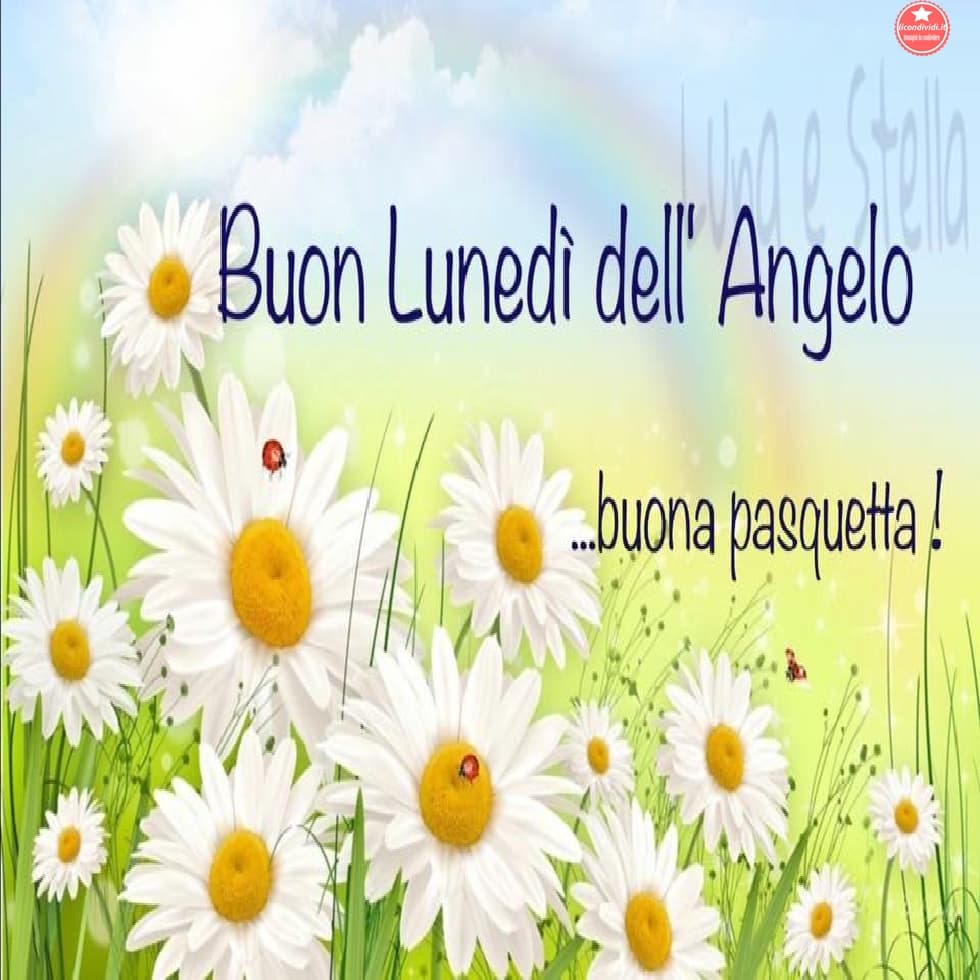 Immagini Buona Pasquetta