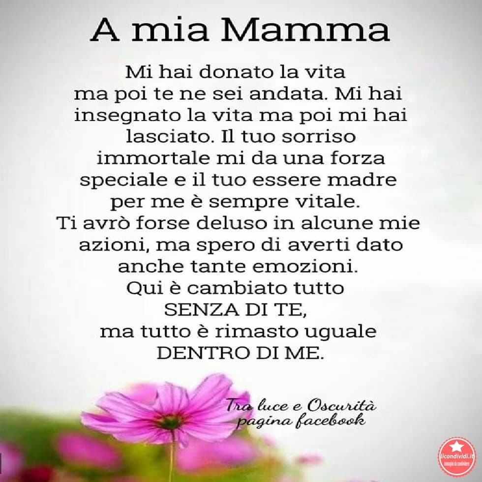 Immagini festa della mamma