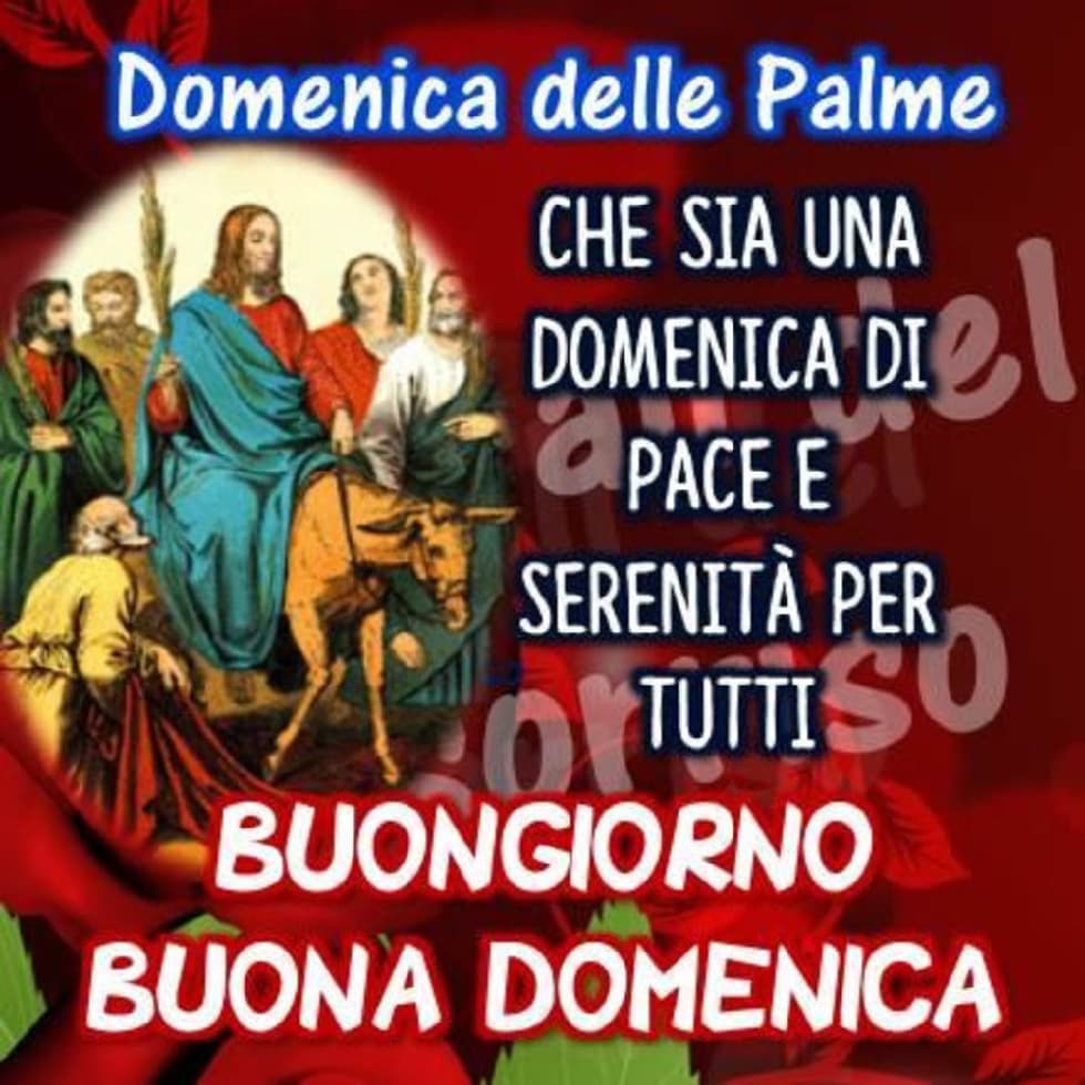 immagini domenica delle palme