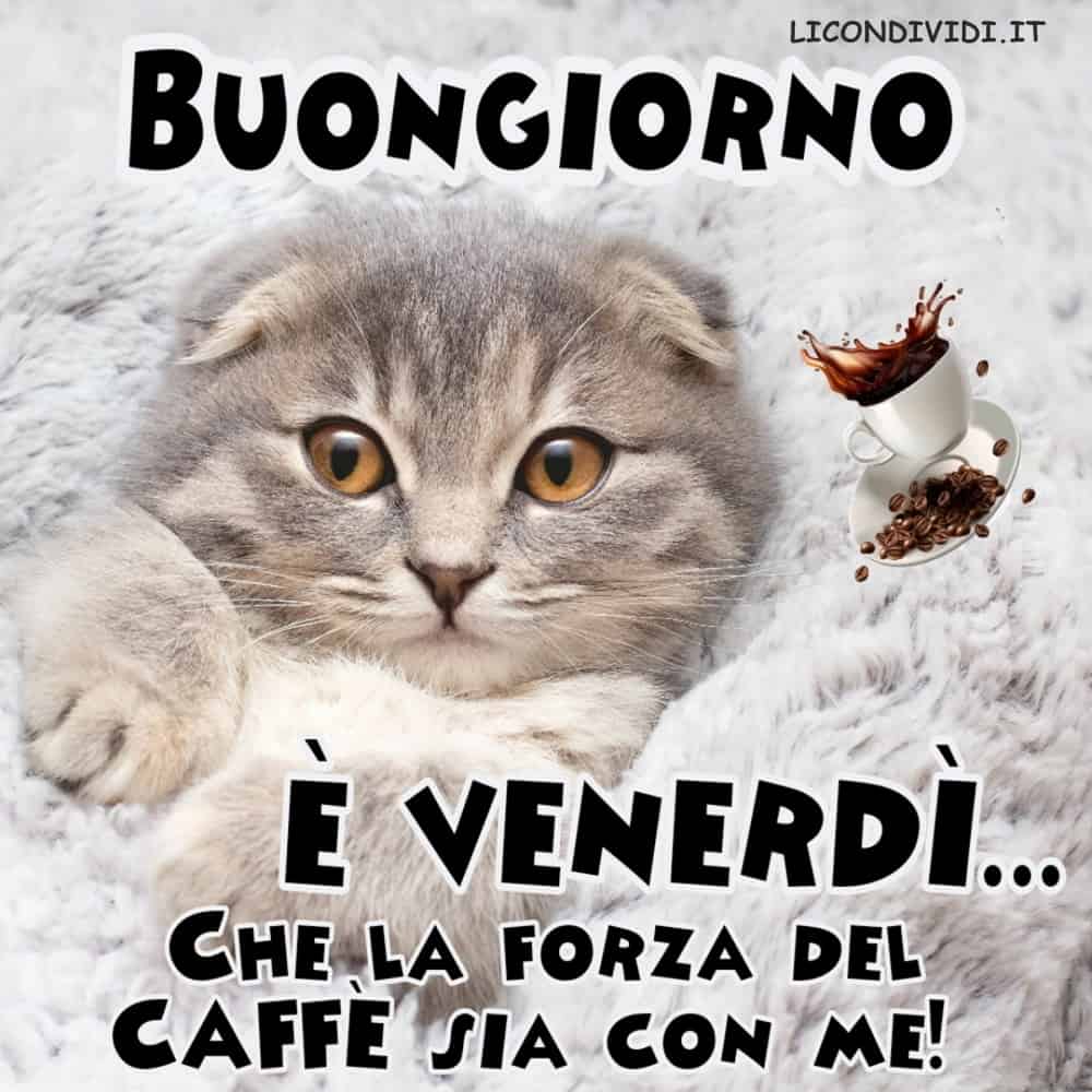 Immagini Buongiorno Venerdi