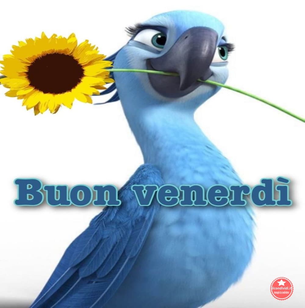 Immagini Buongiorno Venerdi